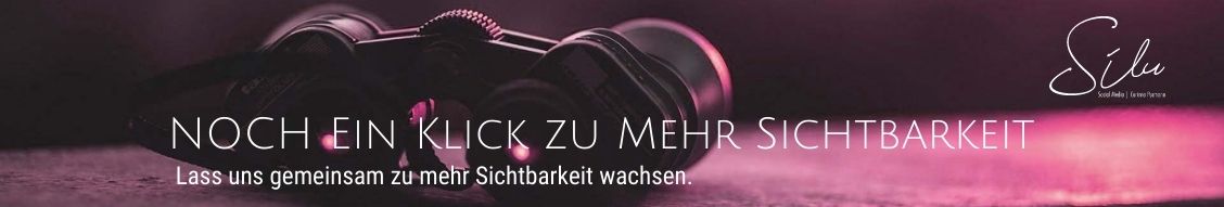 Silu Social Media - Zusammen zu mehr Sichtbarkeit im Web